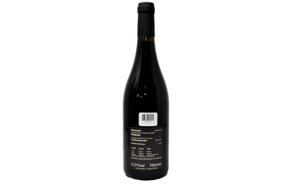 CANAVESE DOC NEBBIOLO 2022 - CANTINA EPOREDIA