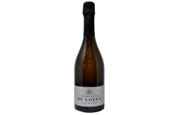 CHAMPAGNE EXTRA BRUT BLANC DE NOIRS - CHAMPAGNE DE LOZEY