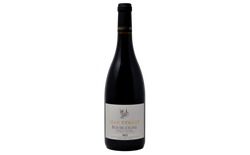 BOURGNONE PINOT NOIR 2022 - JEAN COLLET