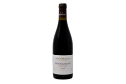 BOURGOGNE PINOT NOIR 2020 - DOMAINE MALDANT PAUVELOT