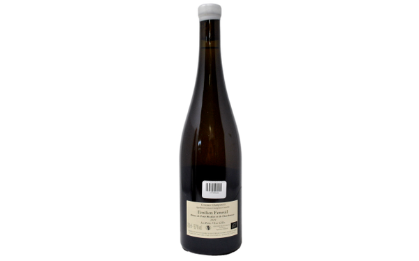 COTEAUX CHAMPENOIS BLANC DE PETIT MESLIER ET DE CHARDONNAY "LES PUITS - LES GILLIS" 2019 - EMILIEN FENEUIL