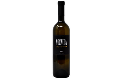 SAUVIGNON BLANC BRDA 2022 - MOVIA