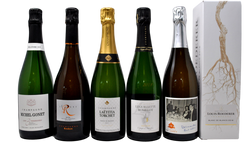 CHAMPAGNE EXPERIENCE - 5 BOTTIGLIE + LOUIS ROEDERER BLANC DE BLANCS 2016 IN REGALO