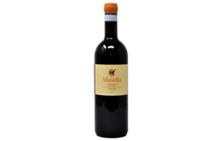 VALPOLICELLA RIPASSO SUPERIORE DOC 2019 - MUSELLA