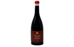 AMARONE DELLA VALPOLICELLA RÉSERVE DOCG 2016 - MUSELLA