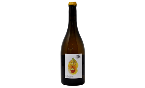 VAL DE LOIRE CHARDONNAY IGP BIO "LA NAINE BLANCHE" 2022 - DOMAINE DES GRANDES ESPERANCES
