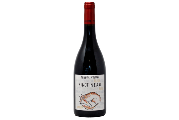 TRENTINO DOC PINOT NERO 2021 - TENUTA VOLPARE