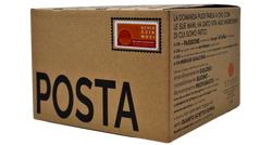 PANETTONE SCHIACCIANOCI 750 GR - GRANO TORINO