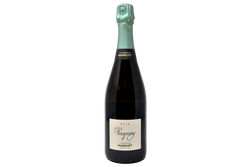 CHAMPAGNE BIO BLANC DE NOIRS BRUT NATURE "VERZENAY" GRAND CRU 2019 - MARGUET