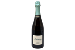 CHAMPAGNE BIO BRUT NATURE "AMBONNAY" GRAND CRU 2019 - MARGUET