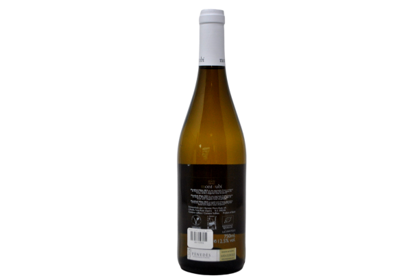 VINO BLANCO VEGAN "WHITE ECO" 2022 - MONTRUBÍ