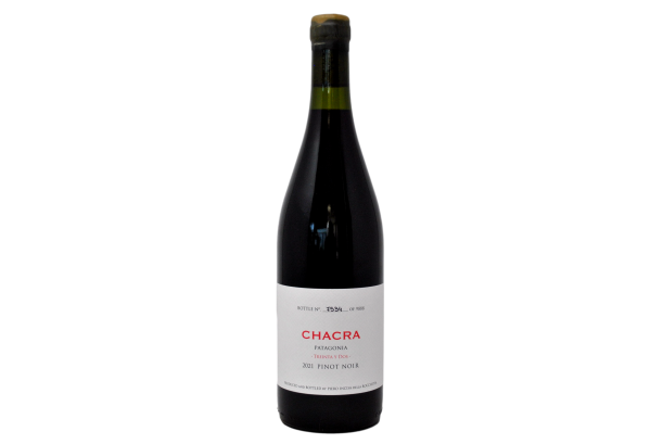 PINOT NOIR "TREINTA Y DOS" 2021 - BODEGA CHACRA