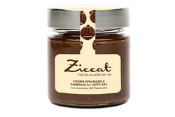 VASETTO CREMA SPALMABILE GIANDUIA 50% CON LATTE 220 GR - ZICCAT
