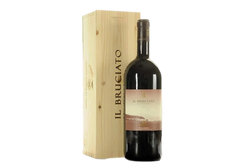 BOLGHERI ROSSO DOC “IL BRUCIATO” 2022 MAGNUM - TENUTA GUADO AL TASSO-ANTINORI