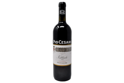 LANGHE NEBBIOLO DOC 2022 - PIO CESARE