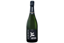 CHAMPAGNE EXTRA BRUT COLLECTION 2005 - BENOIT MICHEL