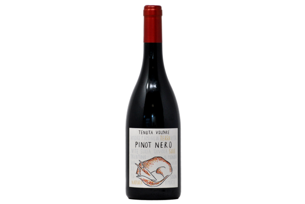 TRENTINO DOC PINOT NERO 2020 - TENUTA VOLPARE