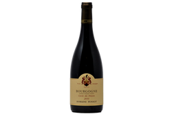 BOURGOGNE ROUGE "CUVEE DU PINSON" 2019 - DOMAINE PONSOT