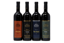DIRETTAMENTE DALLA CANTINA PAOLO SCAVINO "DEGUSTIAMOLO INSIEME" - 4 BOTTIGLIE