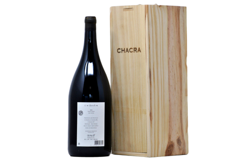 PINOT NERO "SIN AZUFRE" 2021 MAGNUM - BODEGA CHACRA